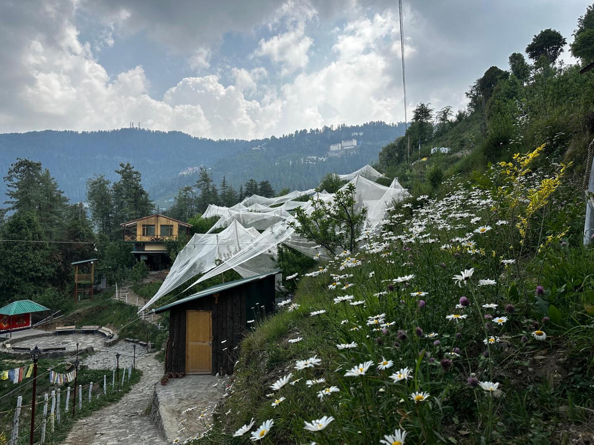 Daak Bangla Retreat Hotel Kufri Exterior photo